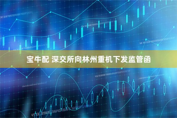 宝牛配 深交所向林州重机下发监管函